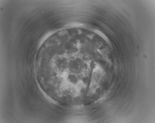 X0000076301055200610271909