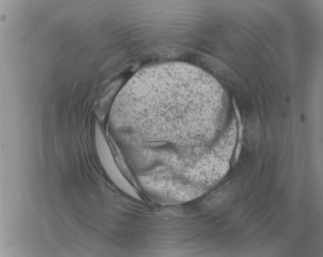 X0000076301058200610271908