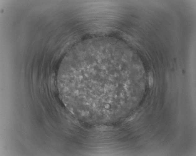 X0000076301059200610271908