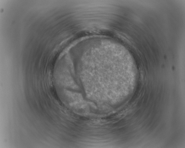 X0000076301060200610271908