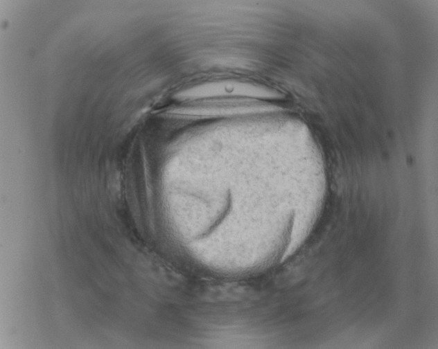 X0000076301061200610271908