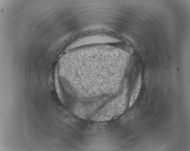 X0000076301062200610271908