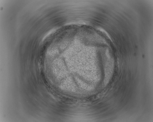 X0000076301064200610271908