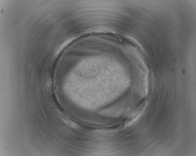 X0000076301065200610271908