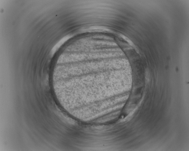 X0000076301066200610271908