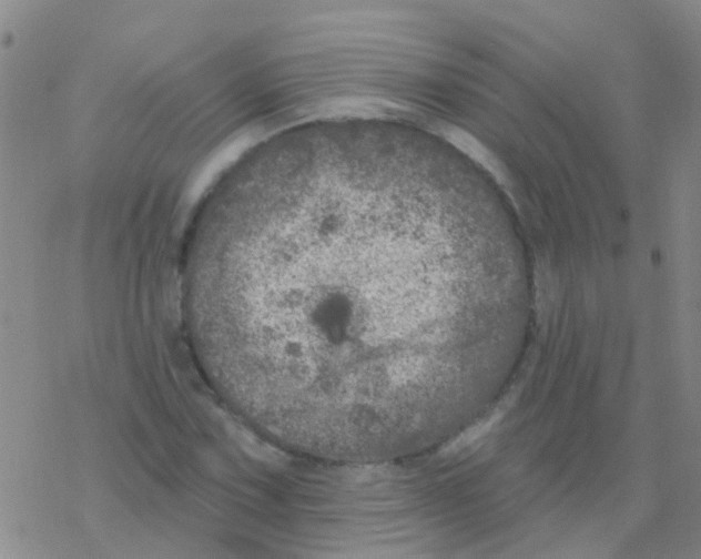 X0000076301067200610271908