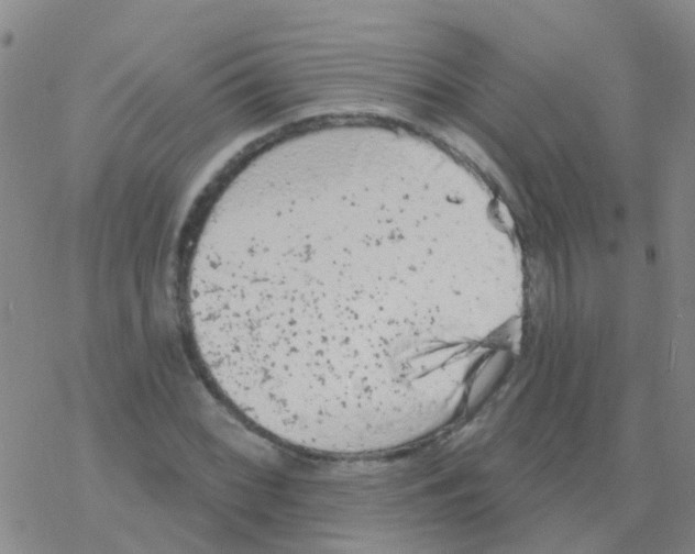 X0000076301068200610271908