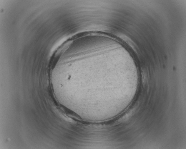 X0000076301069200610271908