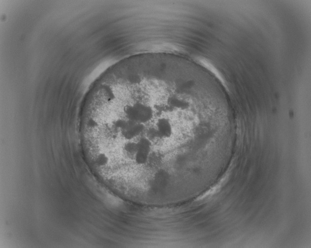 X0000076301071200610271908