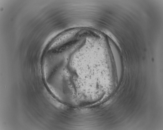 X0000076301072200610271908