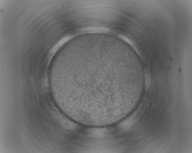 X0000076301074200610271908