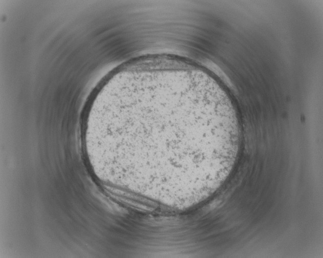 X0000076301076200610271908