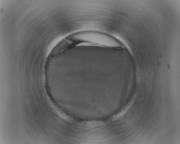 X0000076301077200610271908