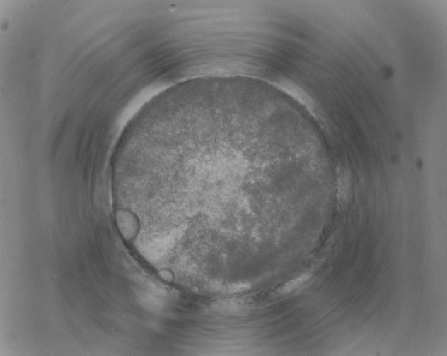 X0000076301078200610271908