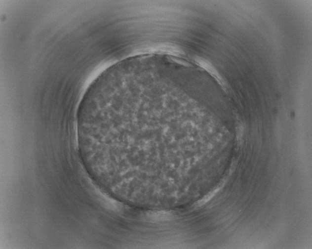 X0000076301079200610271908