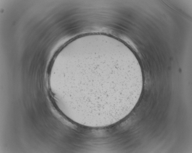 X0000076301080200610271908