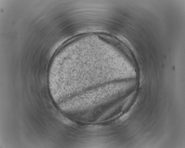 X0000076301081200610271908