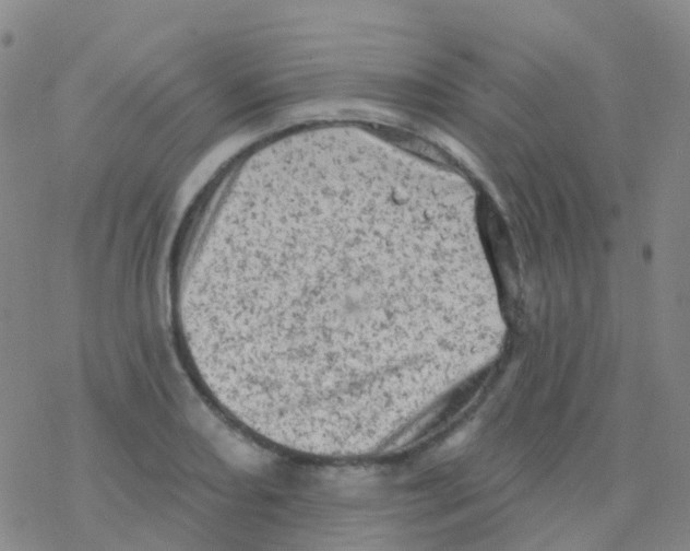 X0000076301082200610271908