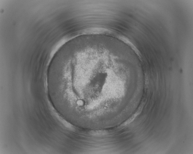 X0000076301083200610271908