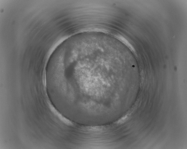 X0000076301084200610271908