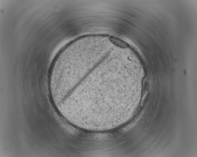 X0000076301085200610271908