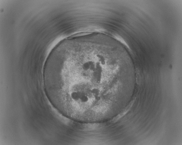 X0000076301087200610271908