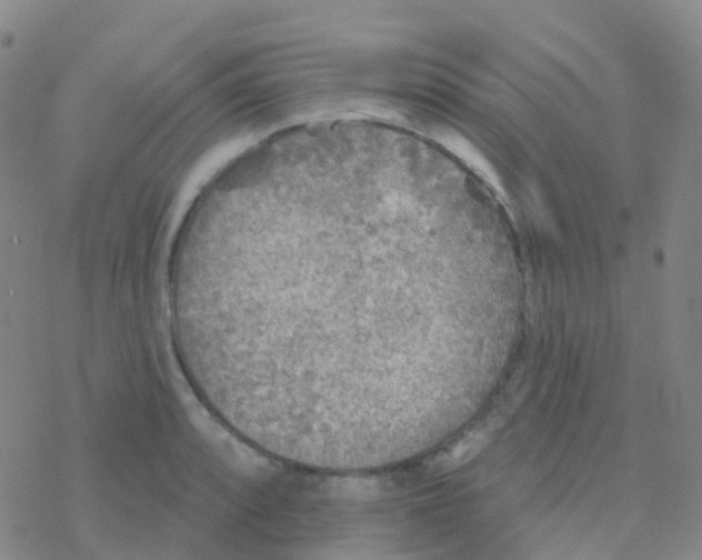 X0000076301088200610271908