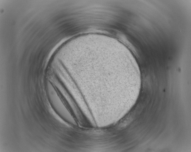 X0000076301092200610271908