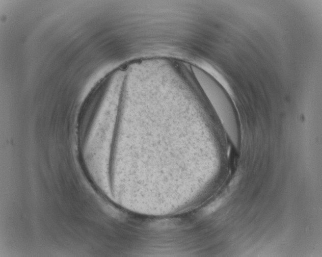 X0000076301093200610271908