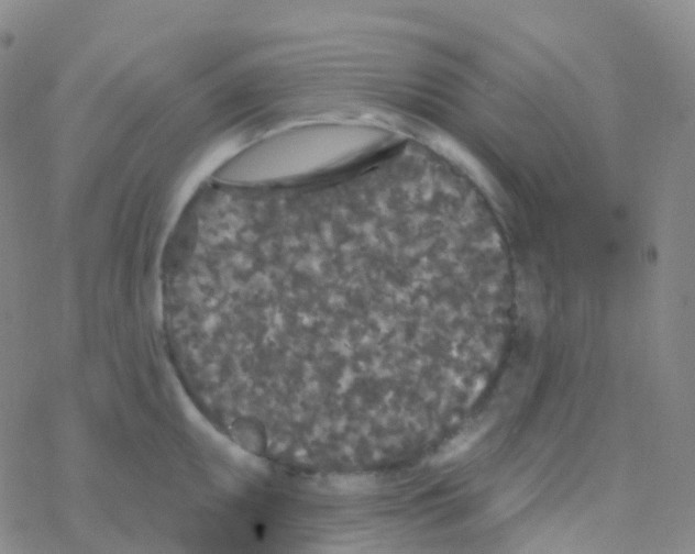 X0000076301095200610271908