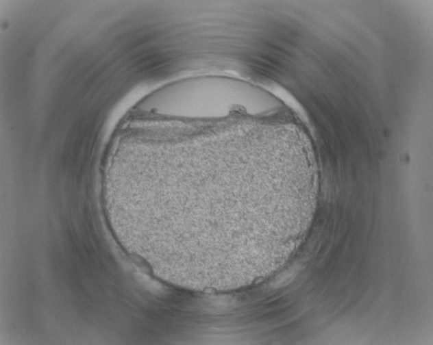 X0000076301096200610271908