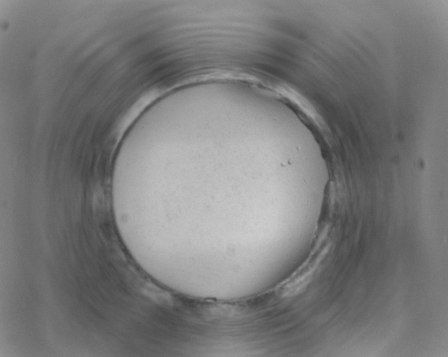 X0000076301097200610271908