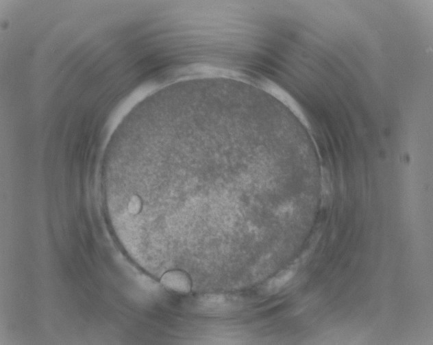 X0000076301098200610271908