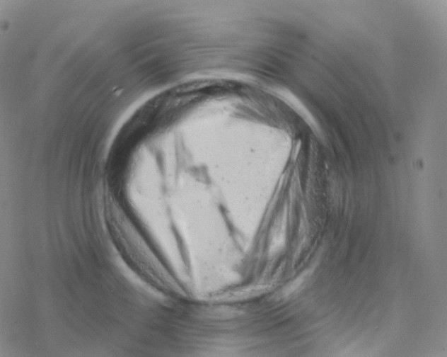 X0000076301100200610271908