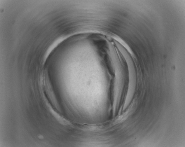 X0000076301101200610271908