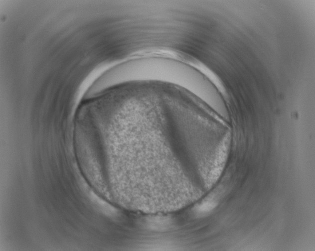 X0000076301102200610271908