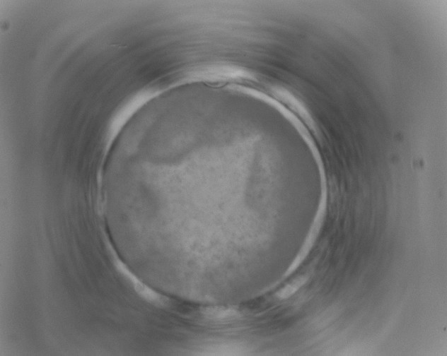 X0000076301103200610271908