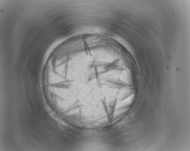 X0000076301104200610271908