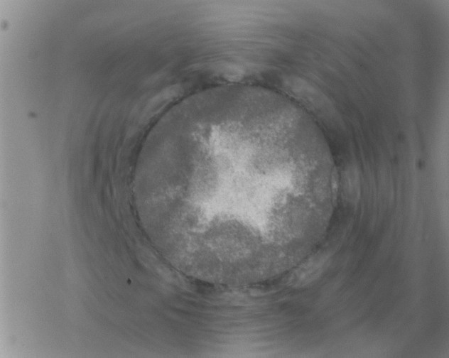 X0000076301105200610271907