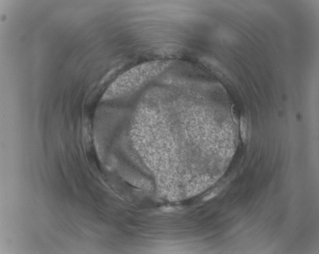 X0000076301107200610271907