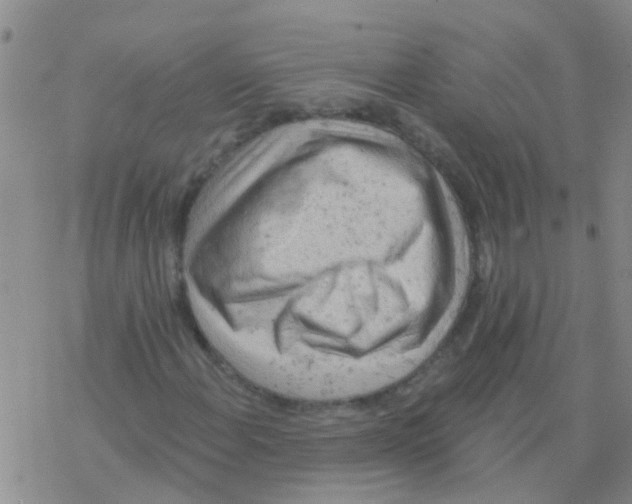 X0000076301108200610271907