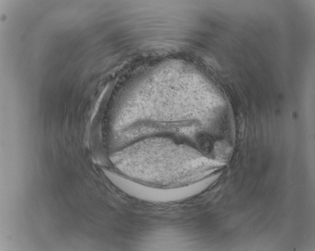 X0000076301109200610271907