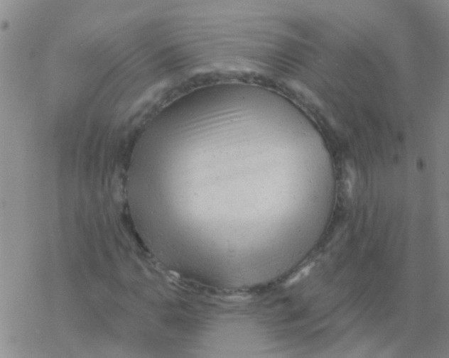 X0000076301110200610271907