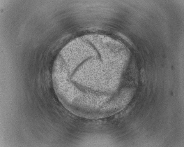 X0000076301111200610271907