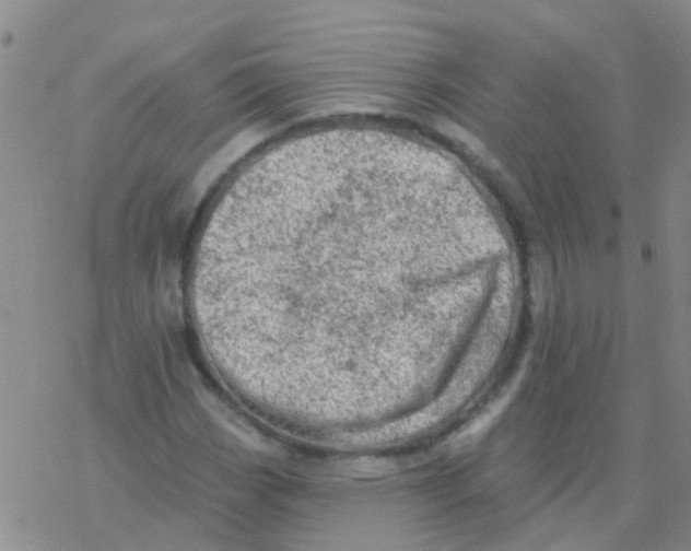 X0000076301113200610271907