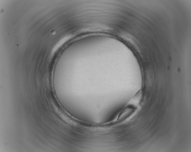 X0000076301114200610271907