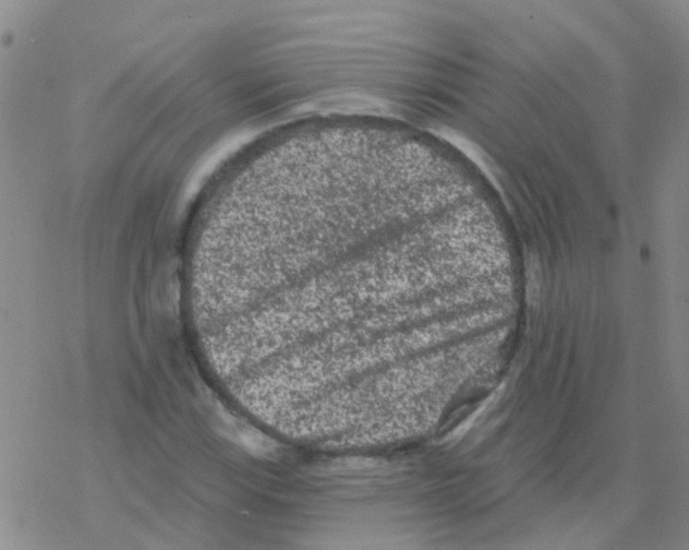 X0000076301115200610271907