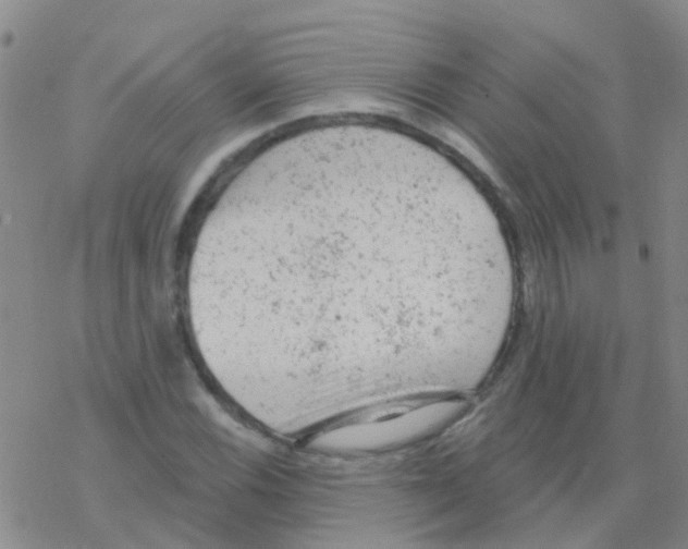 X0000076301116200610271907