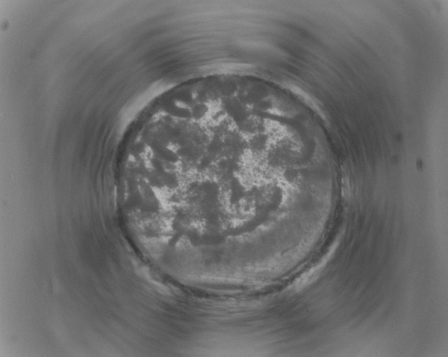 X0000076301117200610271907