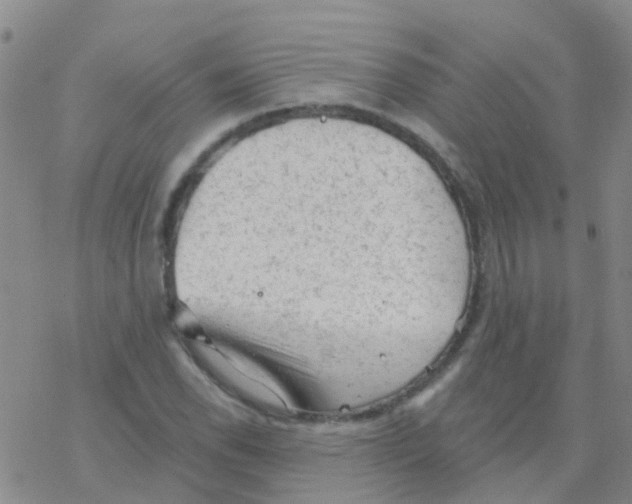 X0000076301118200610271907